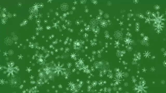 Big Snow Flakes Falling