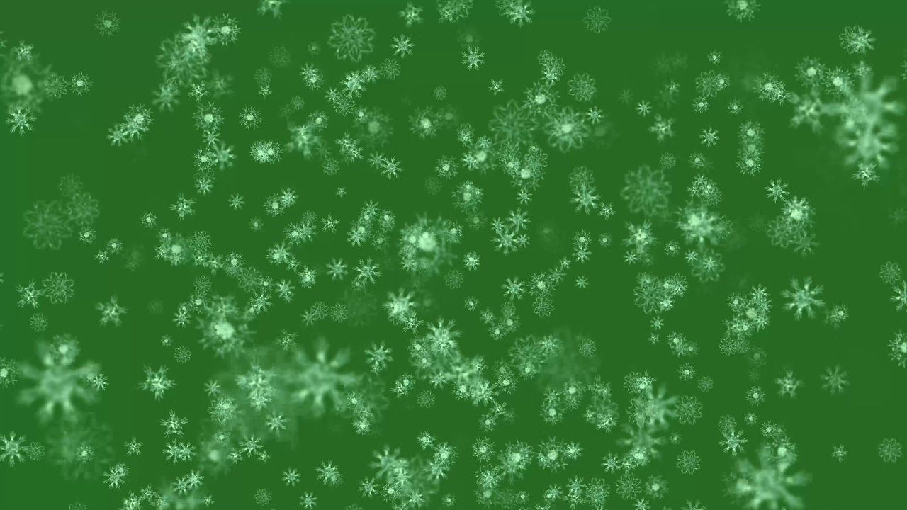 Big Snow Flakes Falling