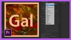 New Animated GIF Export Option in Adobe Premiere Pro CC 2018!